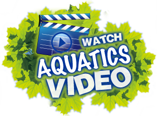 Watch The Aquatics Video